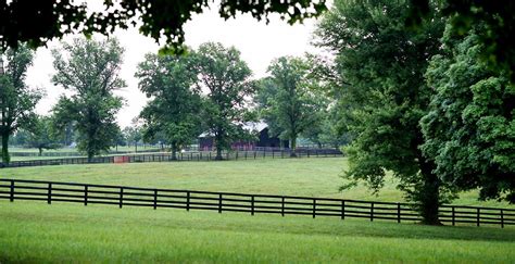 Hermitage farm - Hermitage Farm is known for raising thoroughbred horses, but it is also quite the tourist destination. Apart from producing winners of the Kentucky Derby, Kentucky …